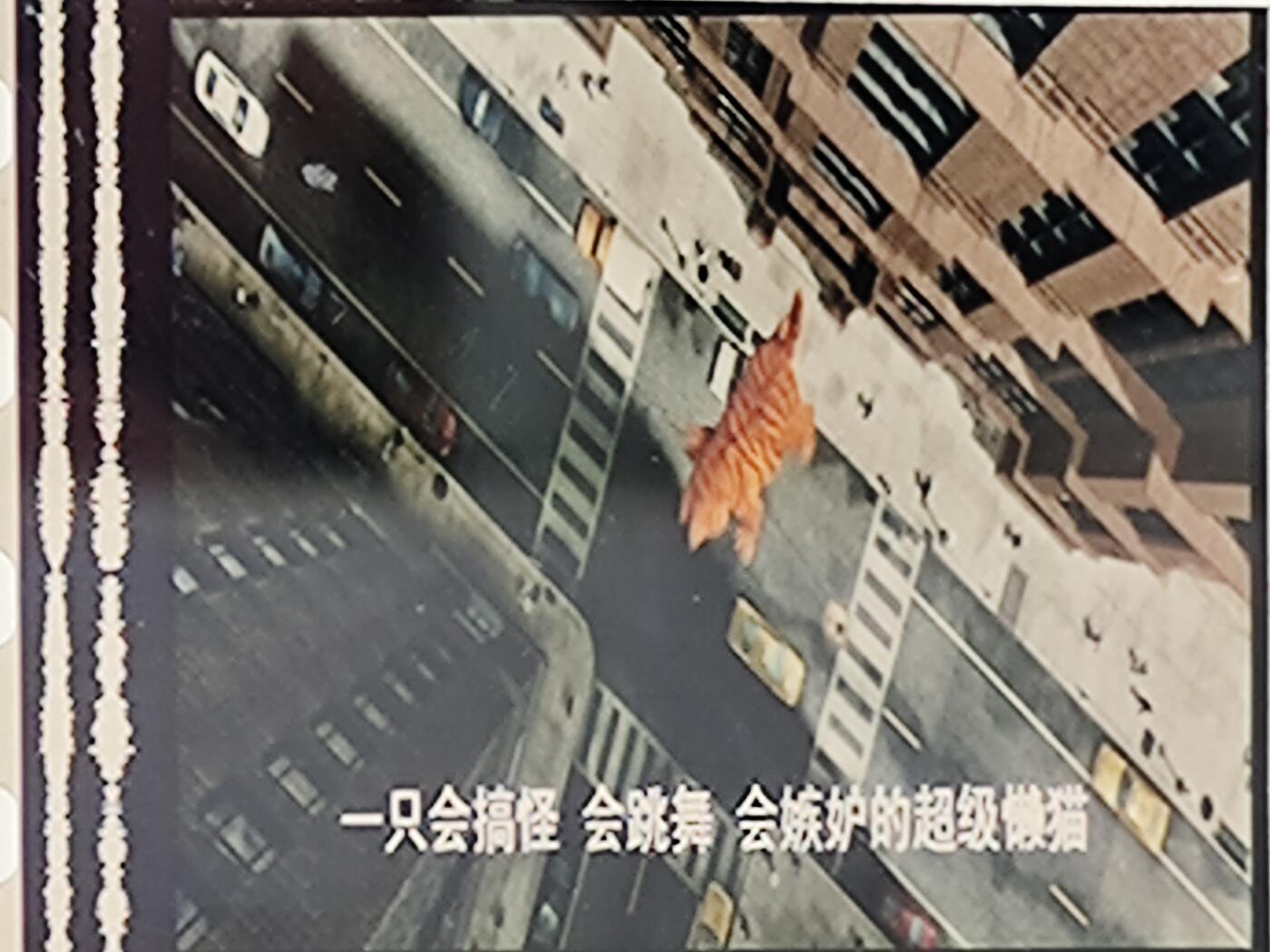 加菲猫（电影胶片） 加菲猫（电影胶片）