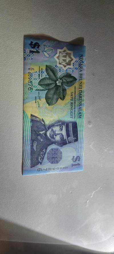 2025第六期纸市均有打光 全新UNC 1996年文莱1林吉特塑料钞 亚洲 