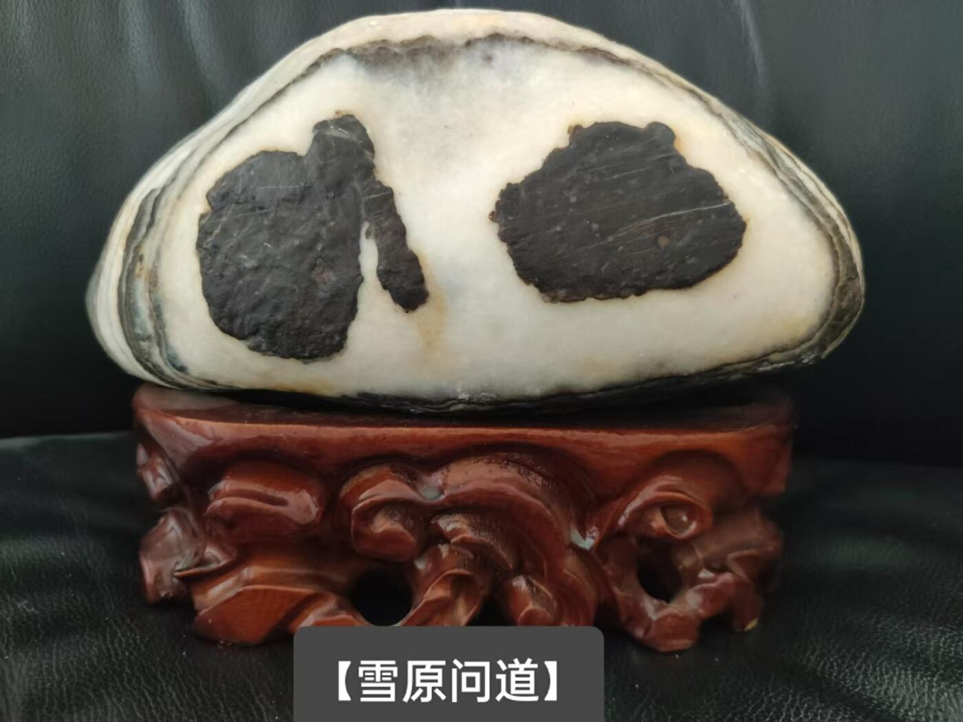 [2月22日奇珍异宝评级卡]