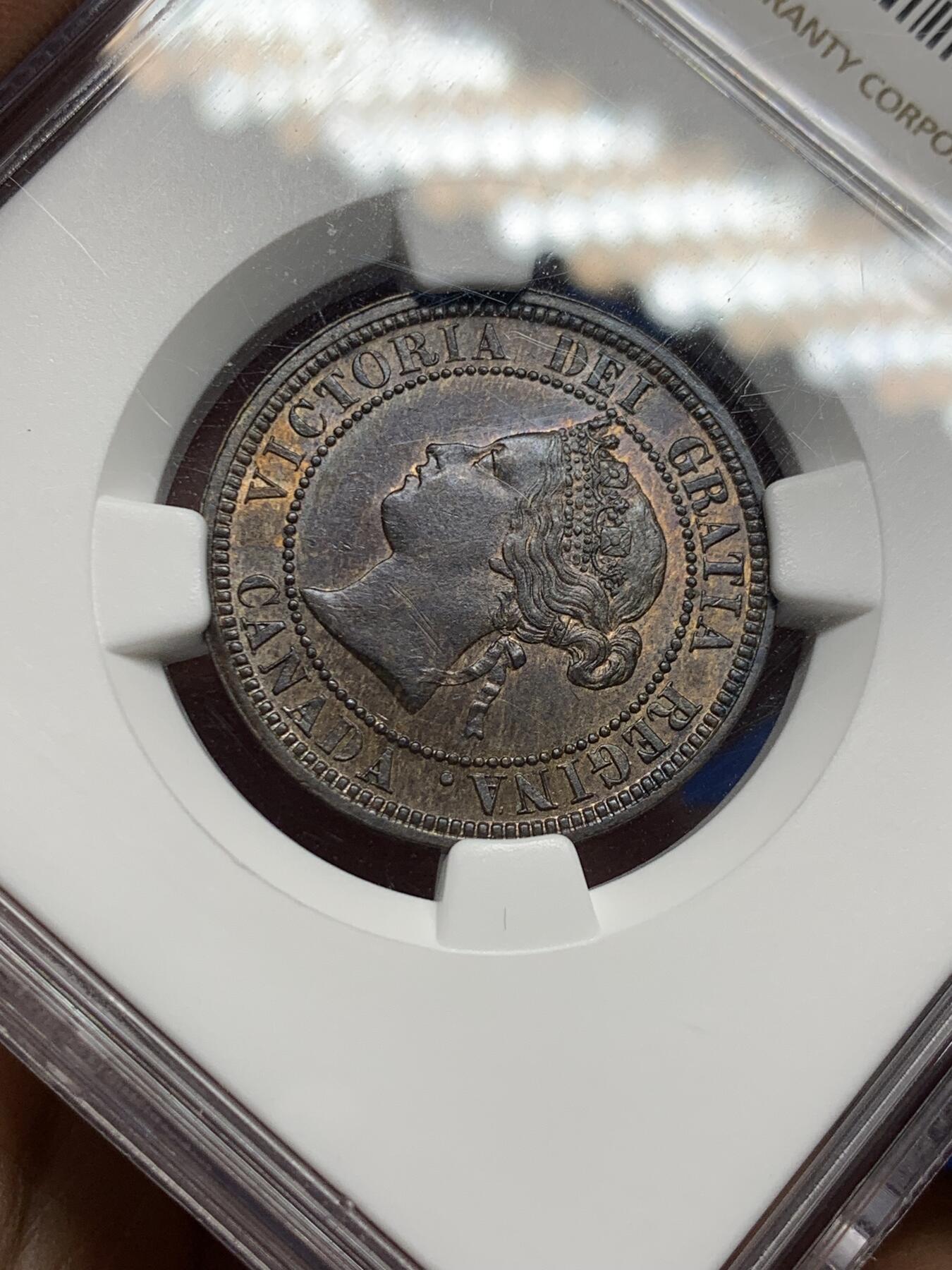 《竞宝斋》第356场 周日，周一  2场连拍 （全场包邮） NGC MS62BN 加拿大1876年维多利亚女王1分铜币，小维头像，早期加拿大不多见。铜光犹存，丝滑巧克力，状态胜过分数