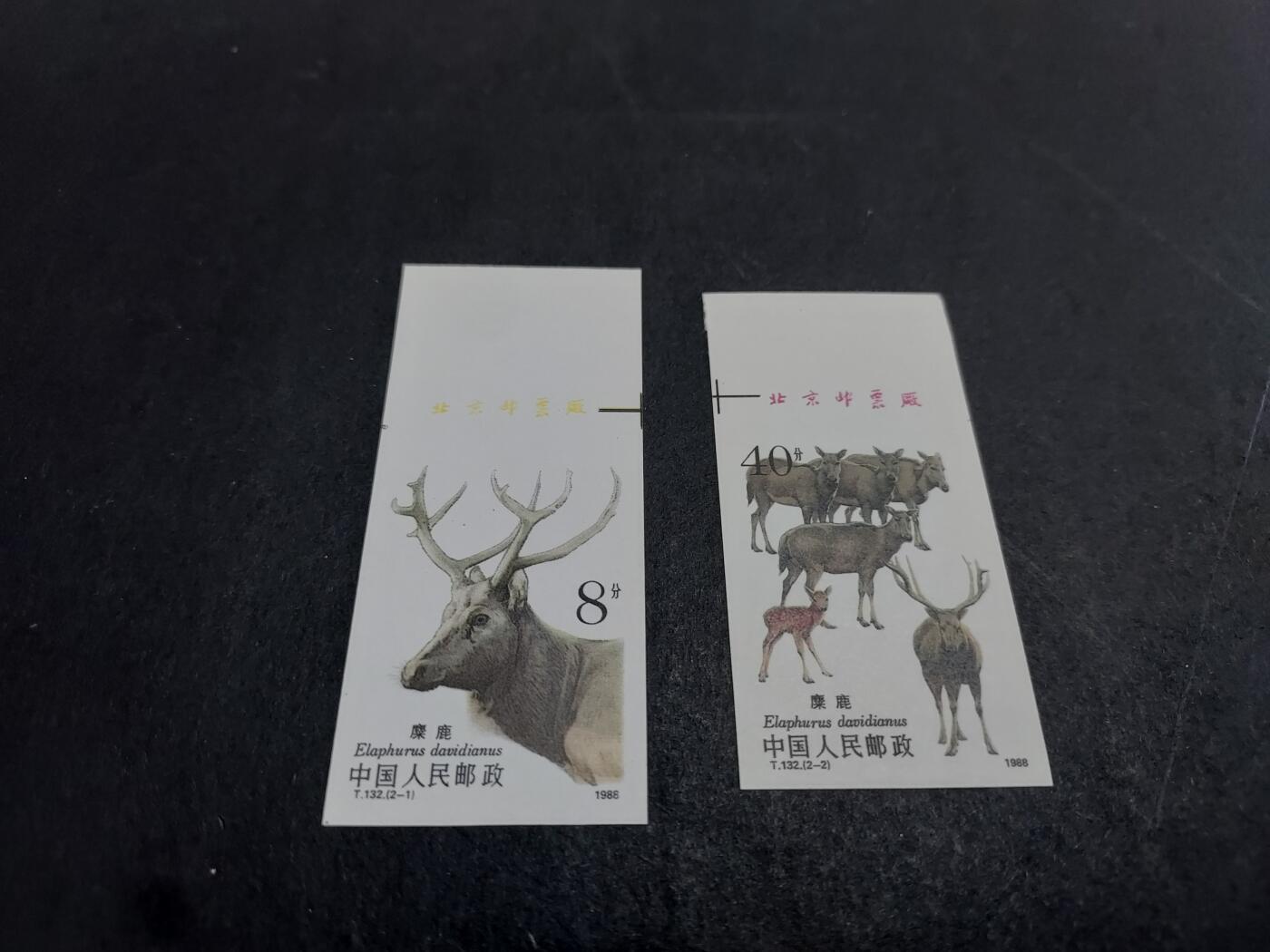 理想集藏/博彦收藏 7月12日邮票专场 T132 无齿带铭 全新
