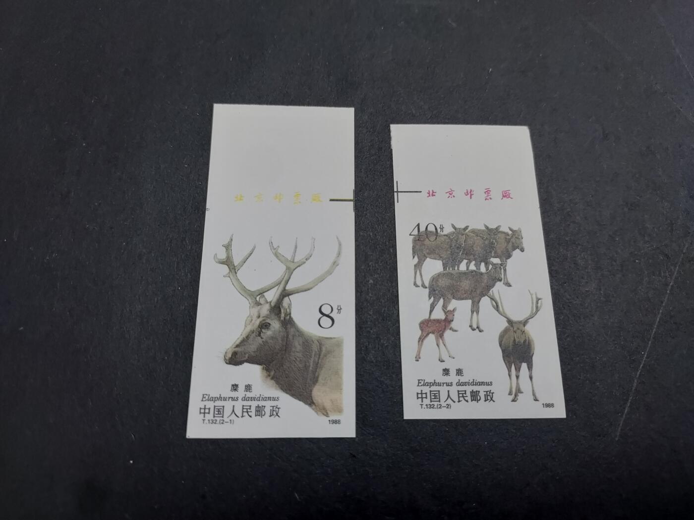 理想集藏/博彦收藏 7月12日邮票专场 T132 无齿带铭 全新