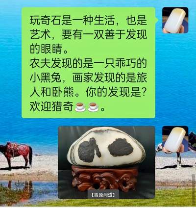 [2月22日奇珍异宝评级卡] 图案奇石，天然保真，假一赔十。【雪原问道】，旅人卧熊; 一动一静，触似浮雕。一方奇石，一眼新疆。规格:约23*11*8cm,重2.45kg，国内运费5元/kg（自然造化，倒置则巧兔跃然。成交价2000元以上包邮），不含底座，有其他疑问可留言。