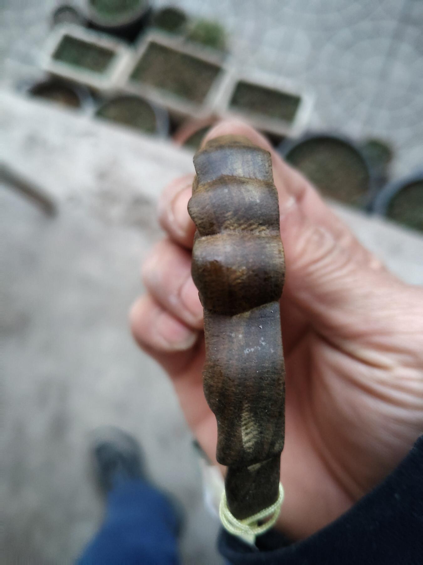 杂项专场 四大檀香之一绿檀梳子不香免费送