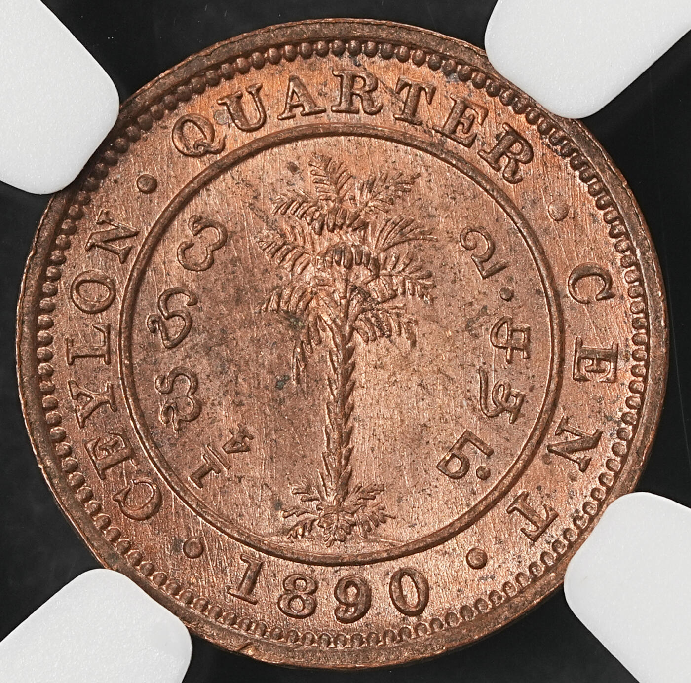 修遠堂世界钱币第五十九期 NGC MS64RB 1890年英属锡兰1/4分铜币