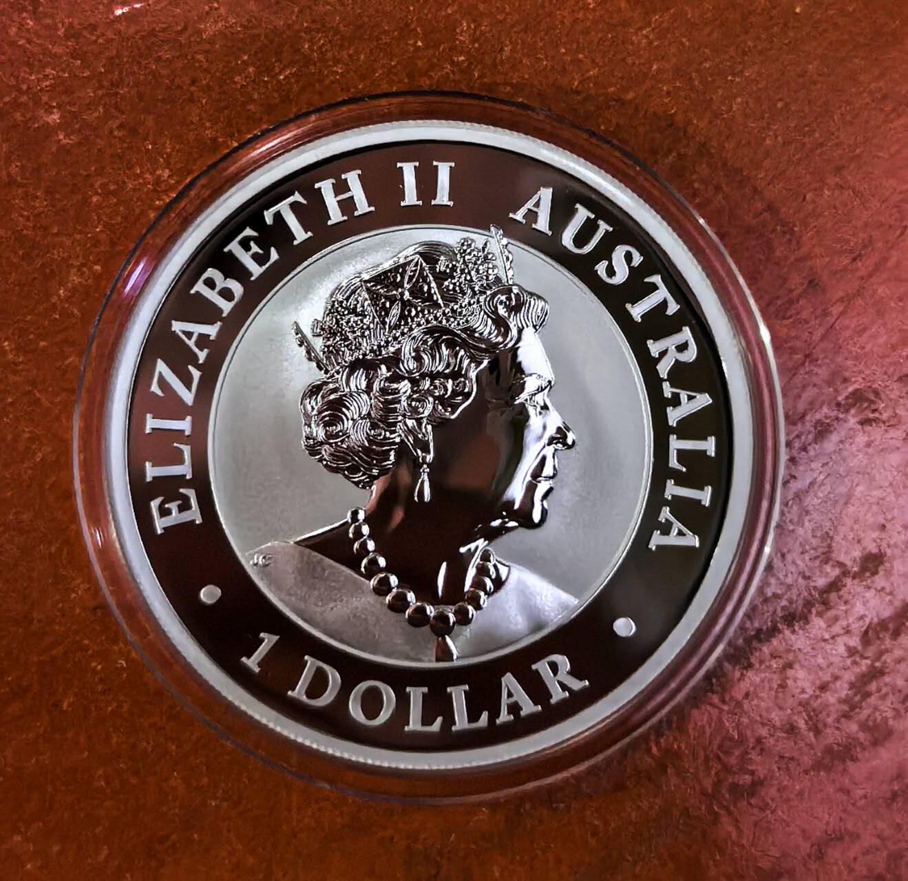 北京马甸外国币专卖第135期，外国币专场，陆续上拍，欢迎关注 澳大利亚2019年翠鸟私印北京钱币展熊猫1盎司银币