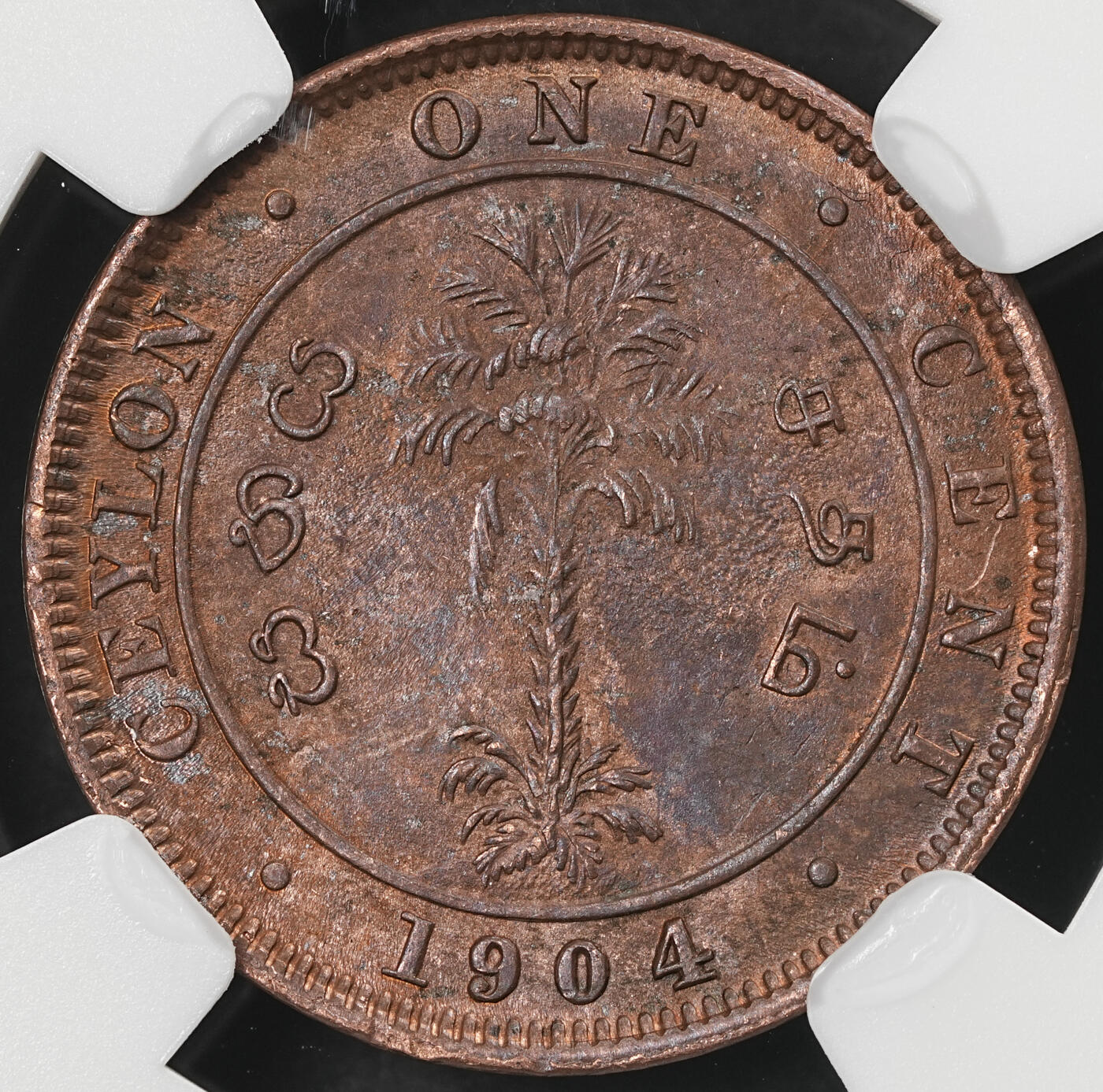 修遠堂世界钱币第五十九期 NGC MS64RB 1890年英属锡兰1分铜币
