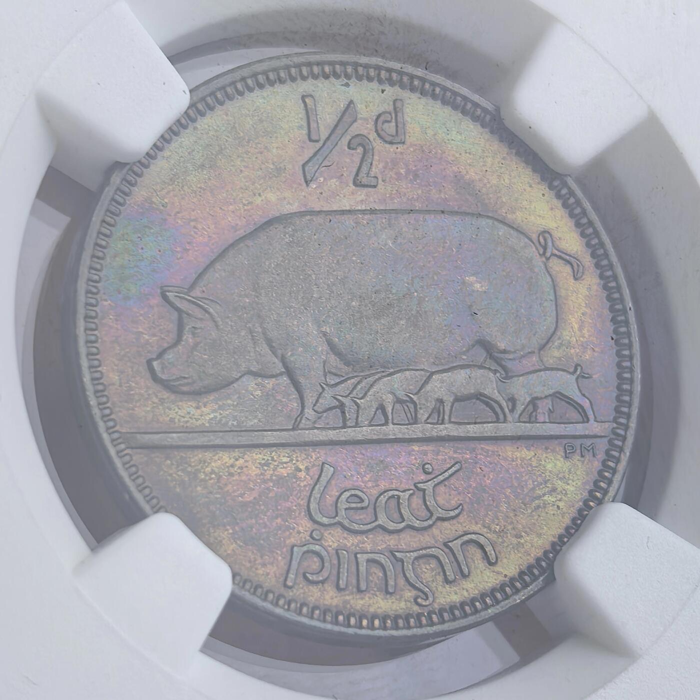 博洋堂“不负春光”二月精品专场暨第112期（全场包邮） NGC PF64/63 爱尔兰1928年首版动物币2铜3银共5枚精制币，发行量6001套，正宗原盒一手送评，五彩包浆，难得的一组高等级收藏品