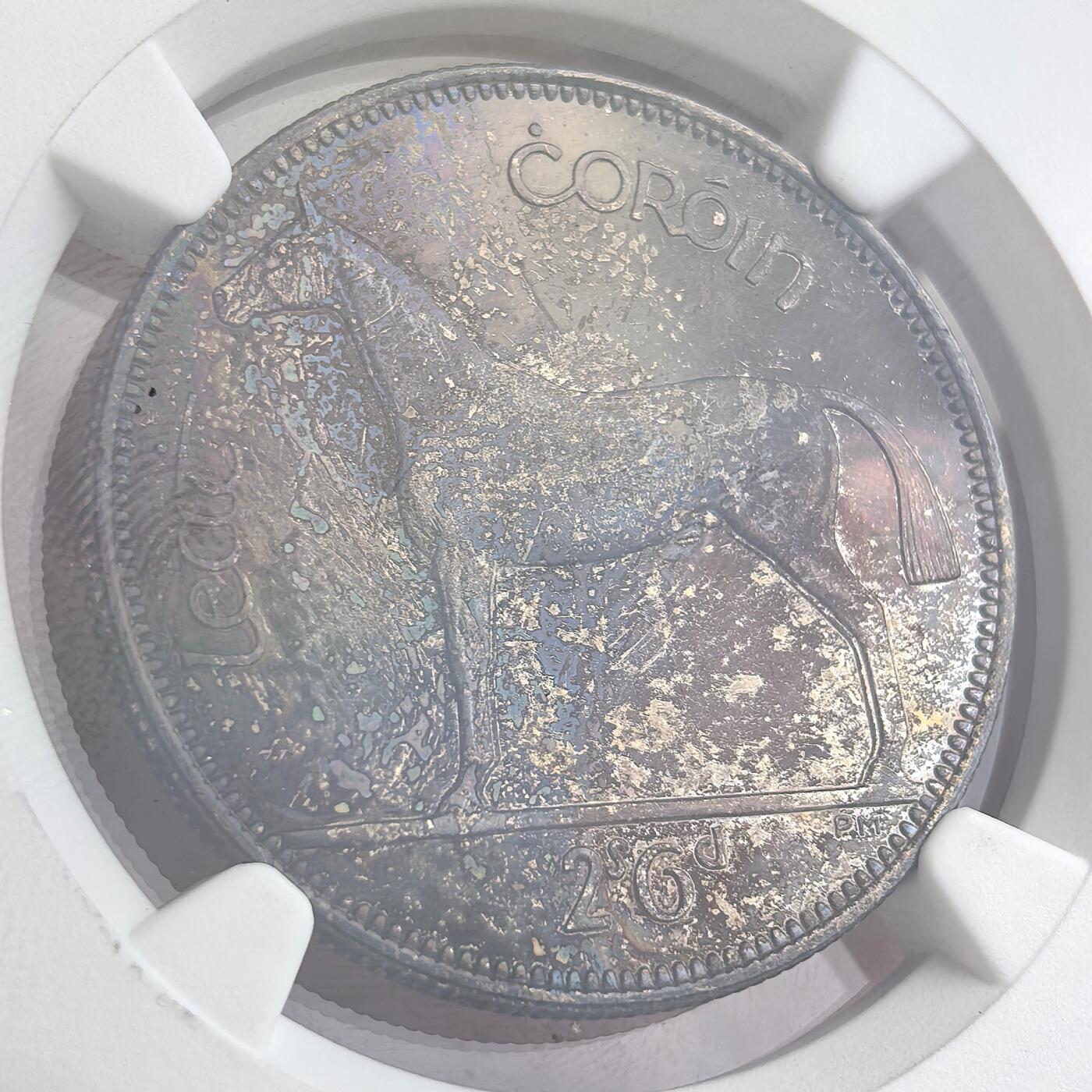博洋堂“不负春光”二月精品专场暨第112期（全场包邮） NGC PF64/63 爱尔兰1928年首版动物币2铜3银共5枚精制币，发行量6001套，正宗原盒一手送评，五彩包浆，难得的一组高等级收藏品