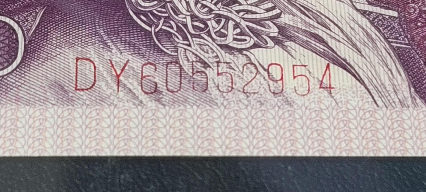 各种钱币拍场 🔥🔥大人渣🔥🔥重影印刷🔥🔥钱坤评级 —8005—漫天飞雪、行名漏印、套印移位、漏印、重影印刷、瑕疵币！DY60552954，瑕疵币中的天花板级别。走过路过不要错过