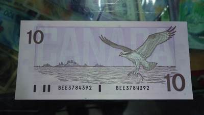 【世界钱币】精选微拍第169期暨2025年第8期  1989年加拿大10元 鸟版全新绝品尾号392