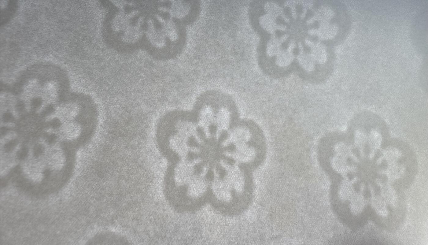 2026第2场（总第229期）：精品测试钞、连体钞综合场 中国防伪水印（样品册）内含25页不同版本水印纸UNC