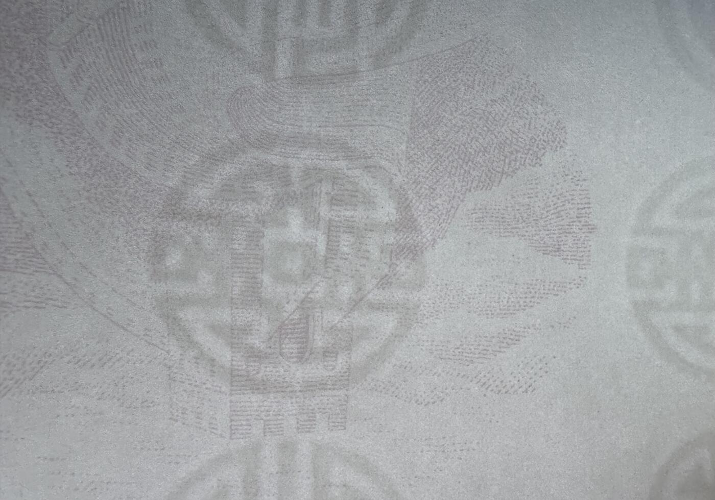 2026第2场（总第229期）：精品测试钞、连体钞综合场 中国防伪水印（样品册）内含25页不同版本水印纸UNC