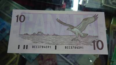 【世界钱币】精选微拍第169期暨2025年第8期  1989年加拿大10元 鸟版全新绝品尾号391