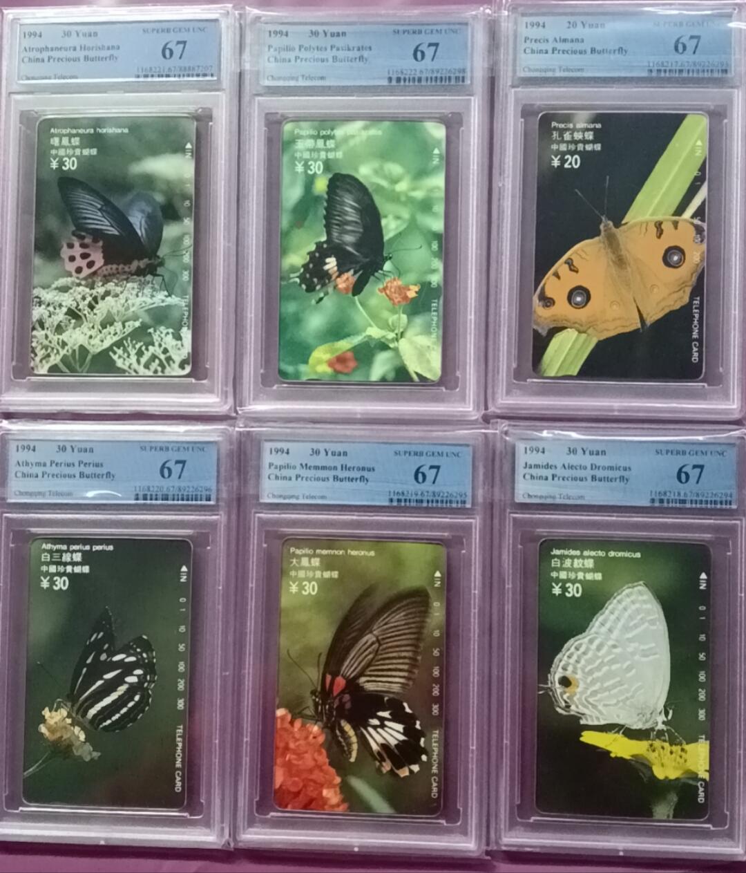 《鸿通俱乐部》拍卖第27期 3月5日21：00延时节拍 田村四川新卡《蝴蝶》PCGS67分*6全