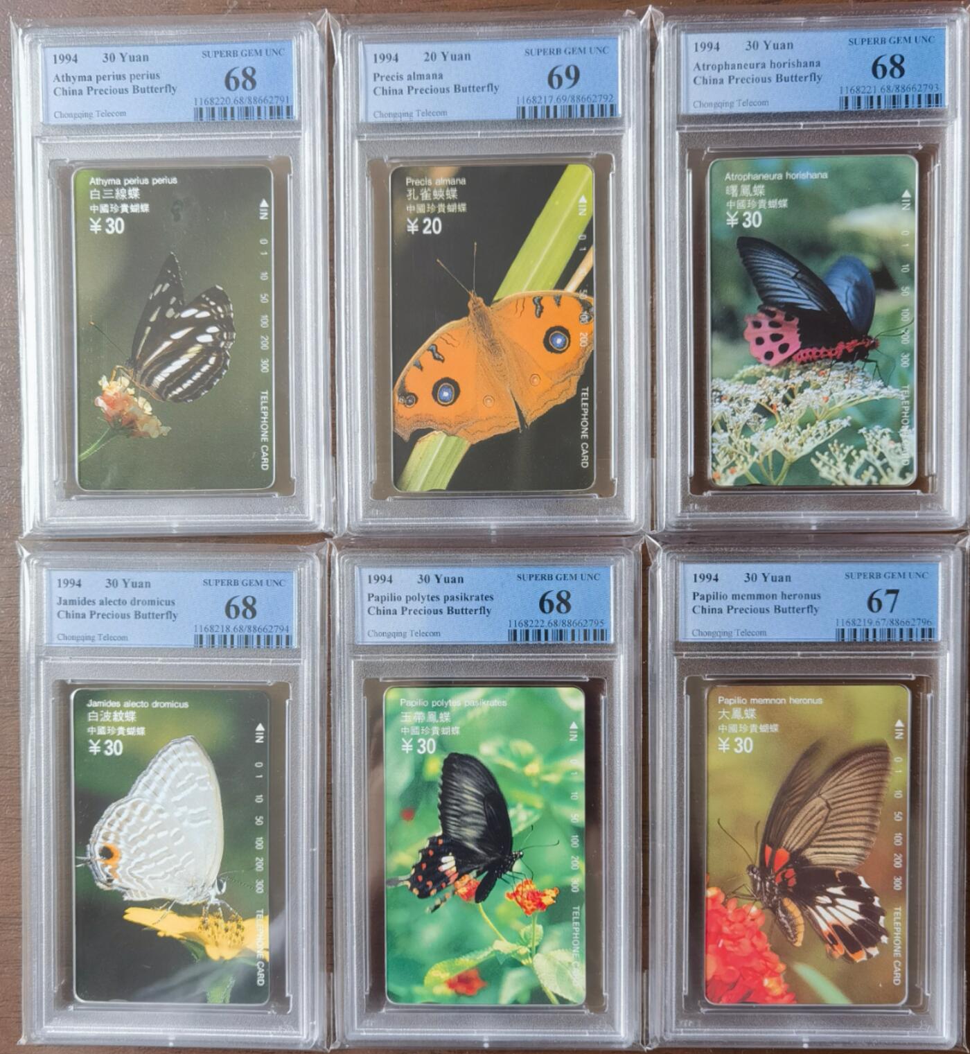 《鸿通俱乐部》拍卖第27期 3月5日21：00延时节拍 田村重庆新卡《蝴蝶》PCGS69分*1枚、68分*4枚、67分*1枚