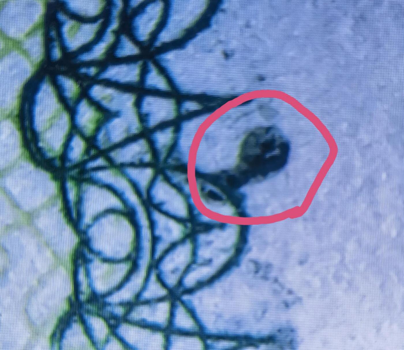 司马迁故乡专场。金龙王补号。802补号，9050补号，90100补号，8010补号等等。 802JZ绿钻补号尾66一张