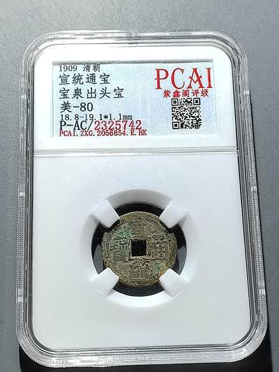 PCAI钱币 6-252  钱币小专场 - 宣统通宝