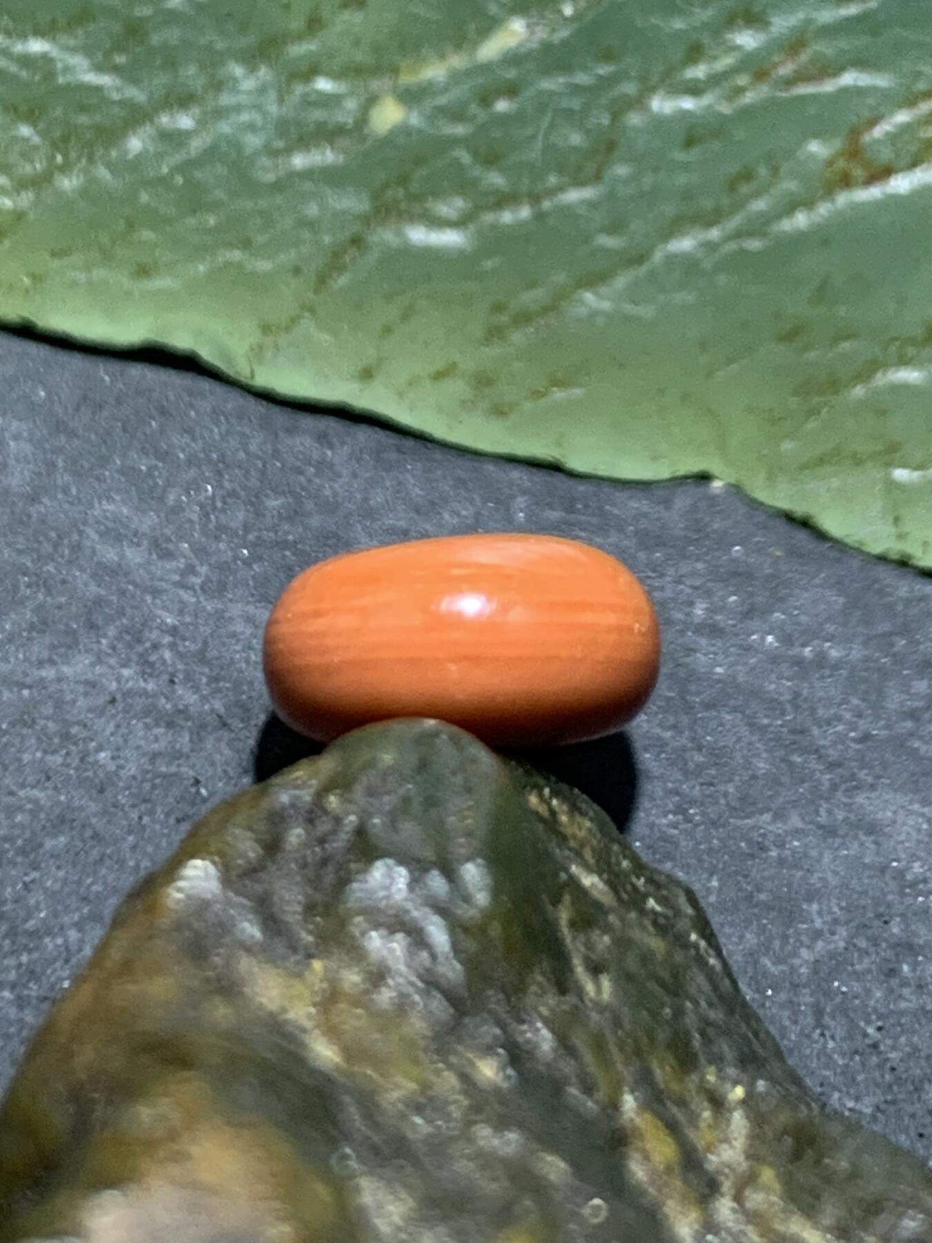 精美南红玛瑙柿子红迷你小平安扣一个，，，