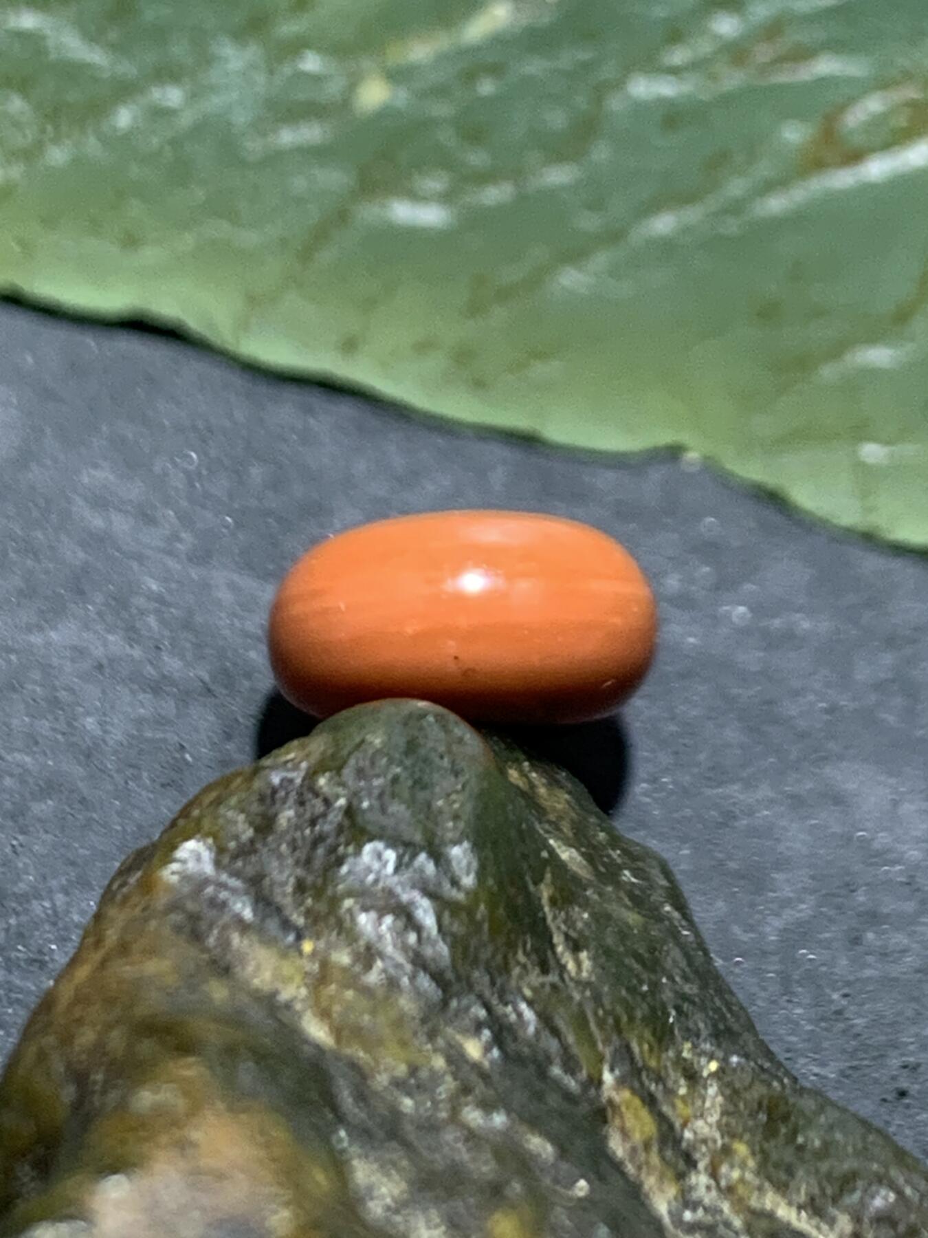 精美南红玛瑙柿子红迷你小平安扣一个，，，