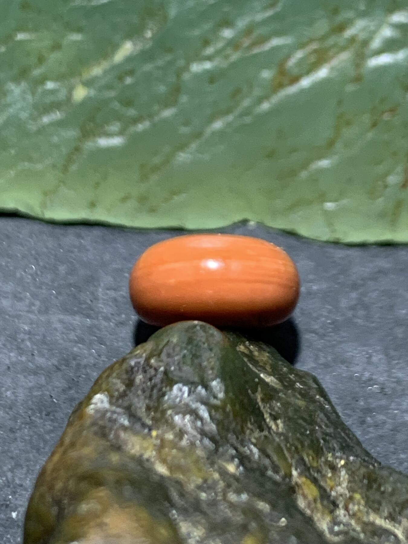 精美南红玛瑙柿子红迷你小平安扣一个，，，