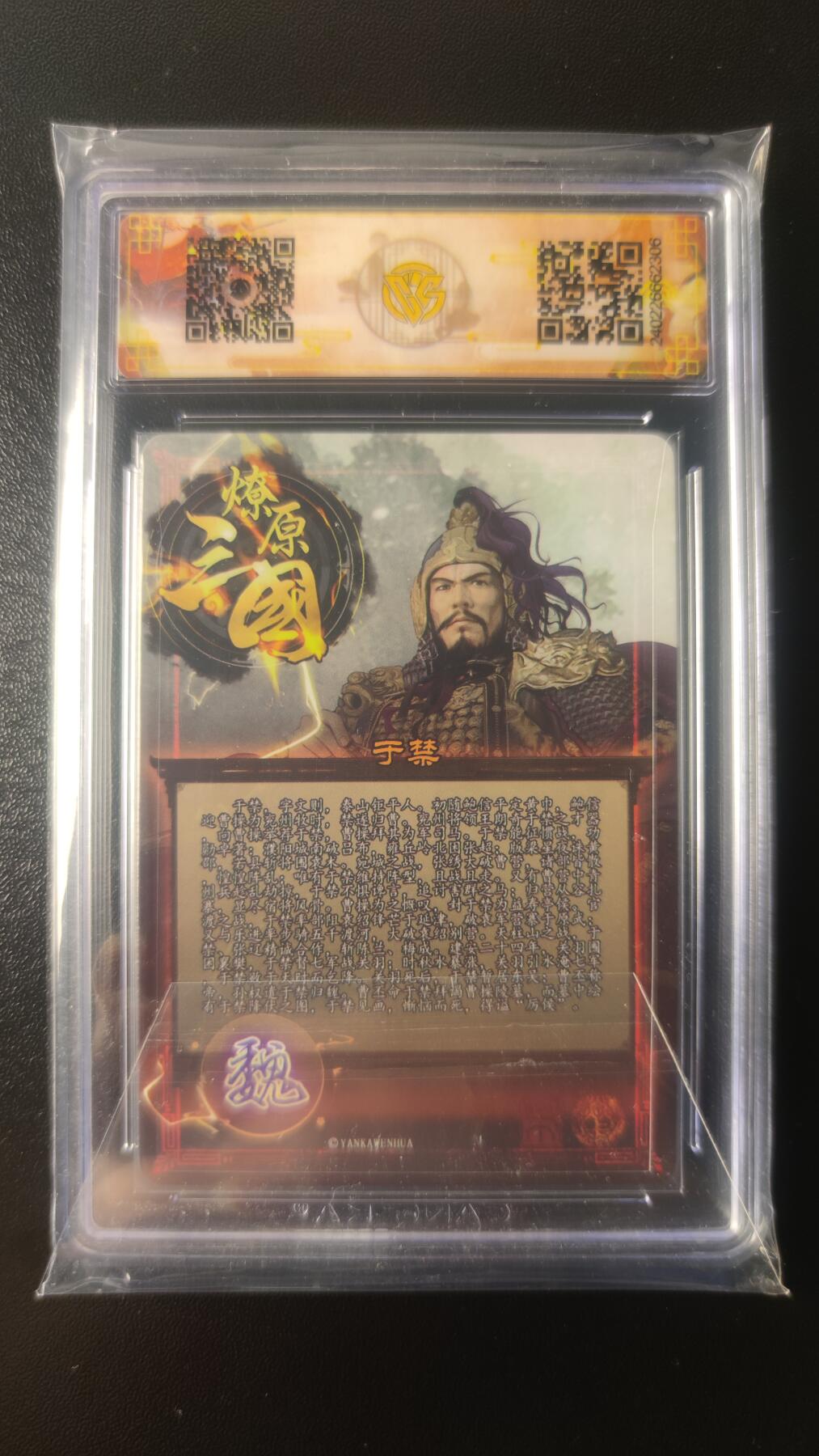 2025第一期3月9日20:00截拍 燎原三国 于禁 彩闪 ccg10分