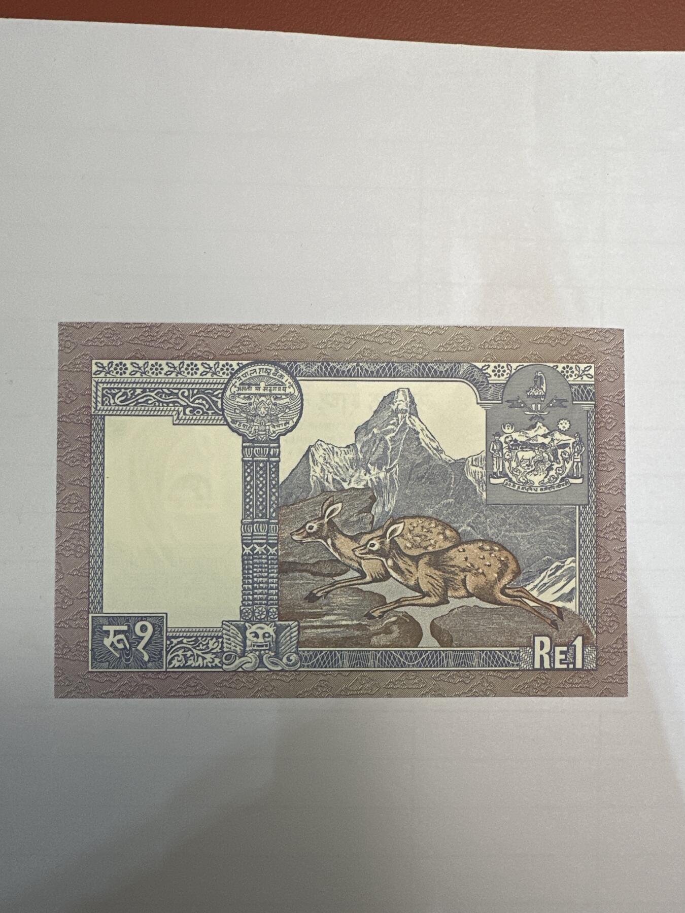 第二弹 纸币专场 1974年尼泊尔1卢比