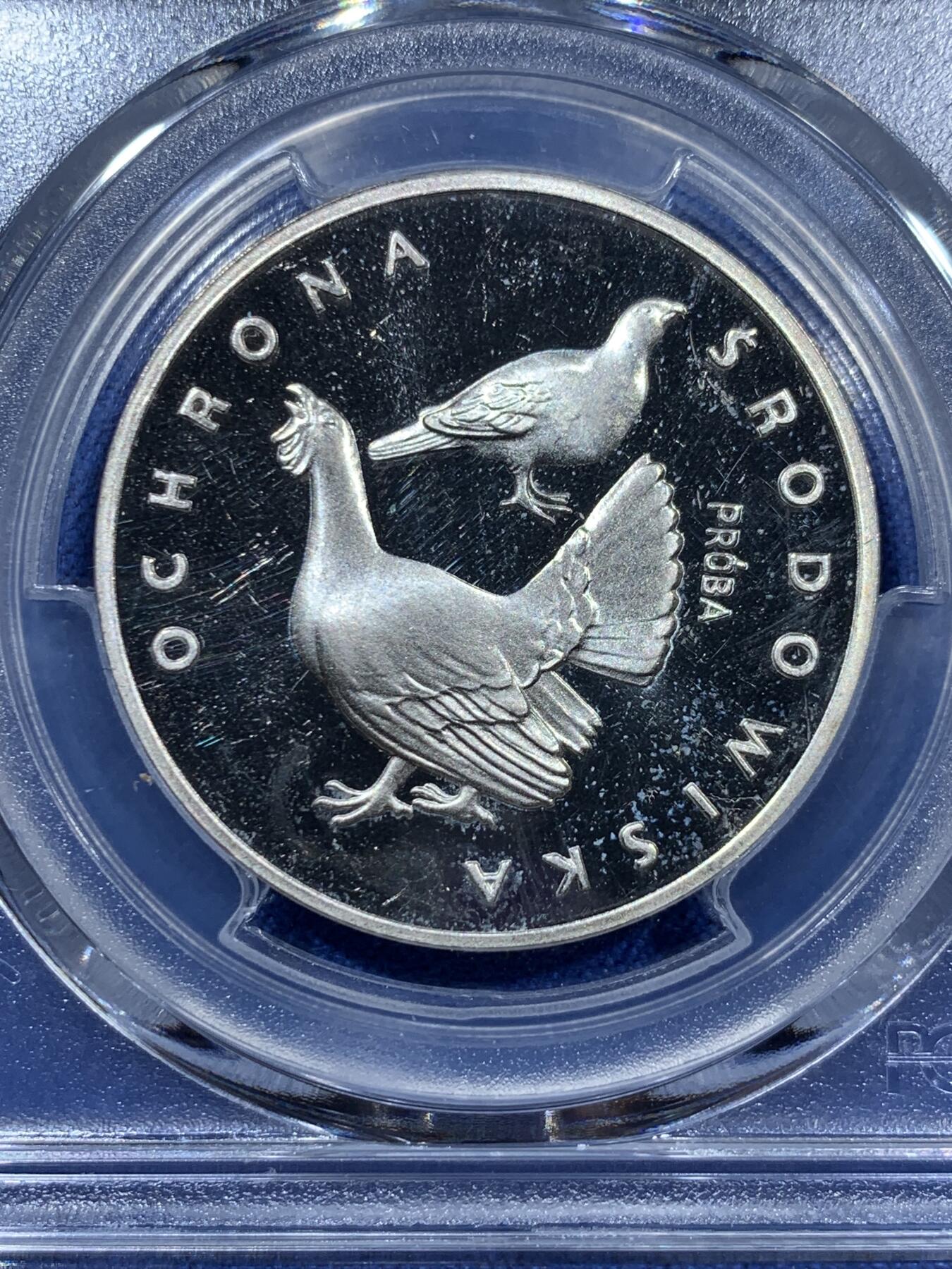 《竞宝斋》第360场 周日，周一  2场连拍 （全场包邮） PCGS SP65 1980波兰100兹罗提银样币 相对少见的一款样币 实际上是精制工艺 浮雕感很强