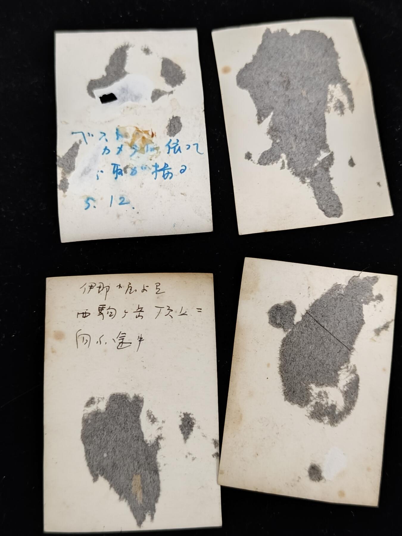0元起拍勋章 第241期 咸鱼国勋章拍卖专场 3月12日（周三）下午6：00开始 日本大正时期照片四张