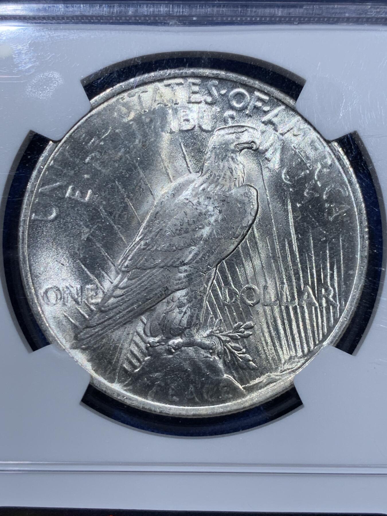 《竞宝斋》第360场 周日，周一  2场连拍 （全场包邮） NGC MS64 美国1923年和平银币一元