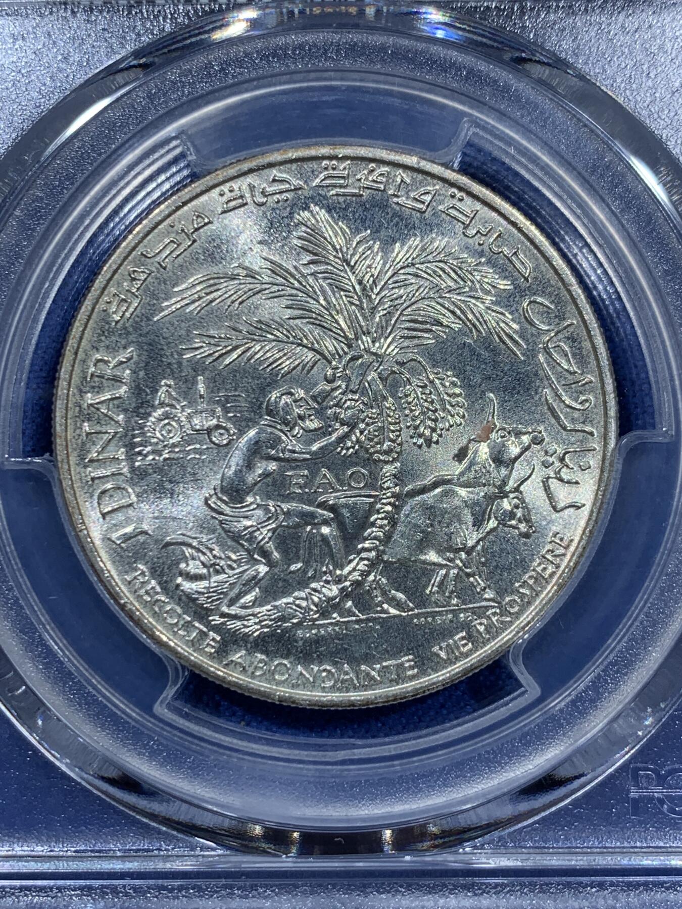 《竞宝斋》第360场 周日，周一  2场连拍 （全场包邮） PCGS MS65 突尼斯1970年1第纳尔银币 联合国粮农纪念币，发行量仅10万枚，亚军分，冠军分仅3枚！