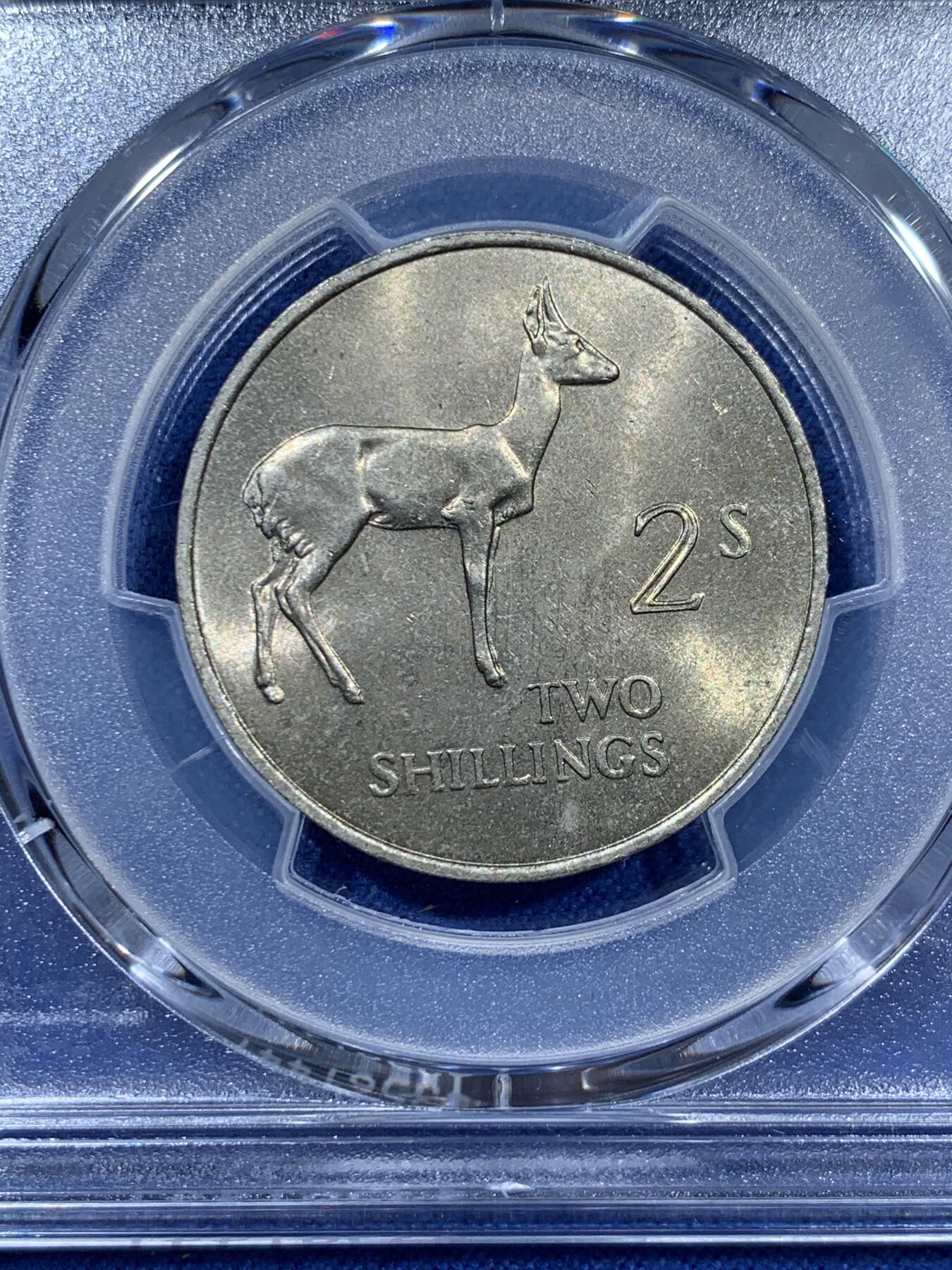 《竞宝斋》第360场 周日，周一  2场连拍 （全场包邮） PCGS MS64 赞比亚1964年2先令 热门非洲品种 好品的非常少见 这枚BU状态 64有点低评了 性价比高