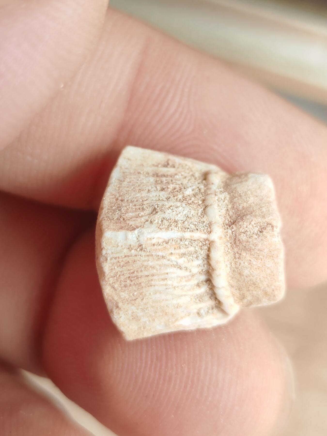鲨鱼牙专场 另一颗菱形