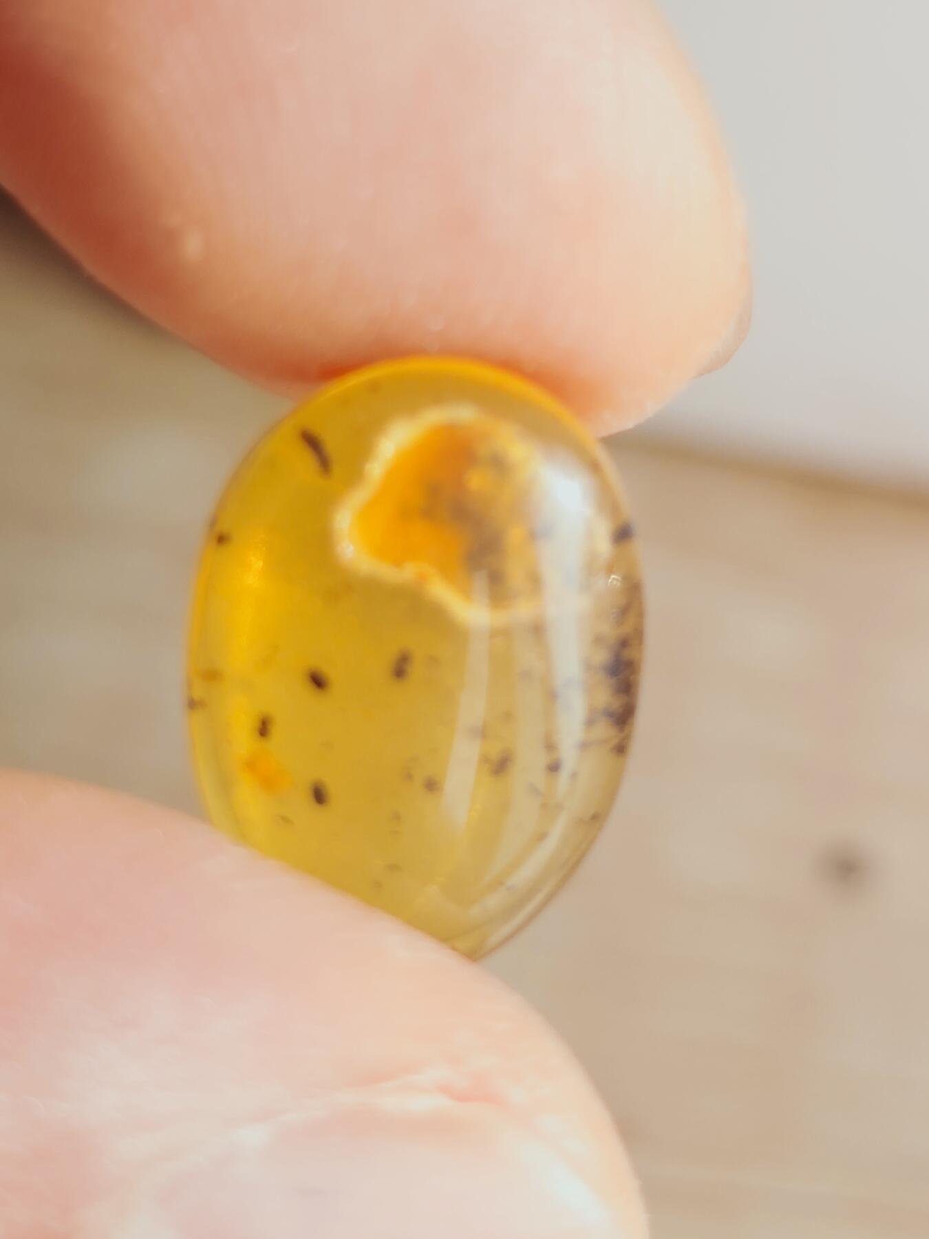 鲨鱼牙专场 天然琥珀，有个起泡
