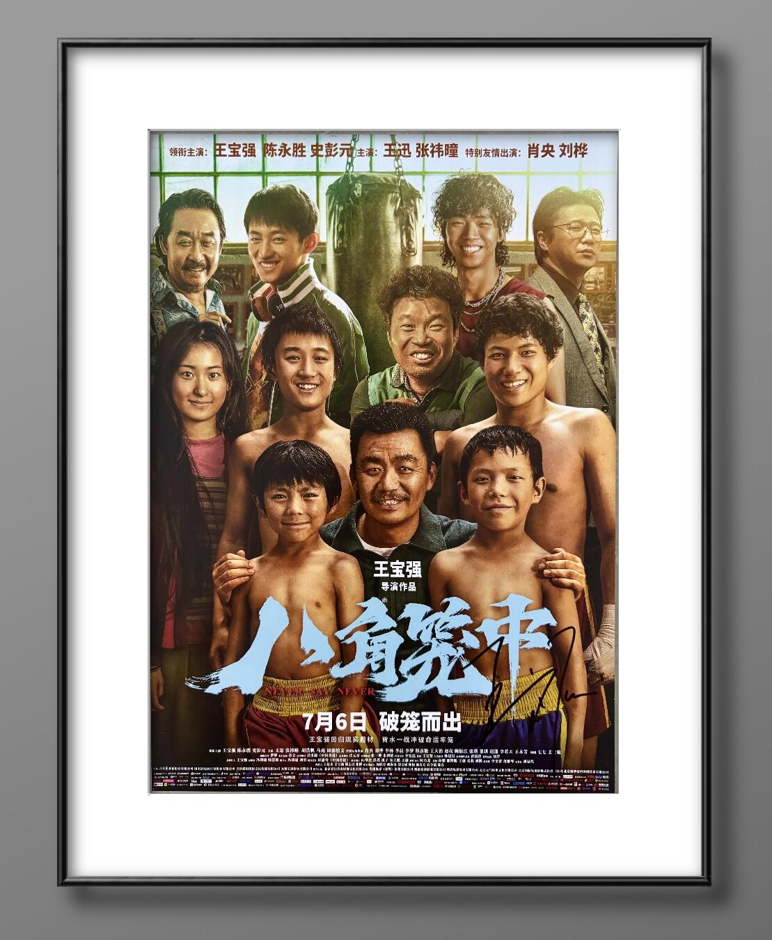 零元拍：导演兼男主 王宝强亲笔签名《八角笼中》海报，尺寸300/420MM