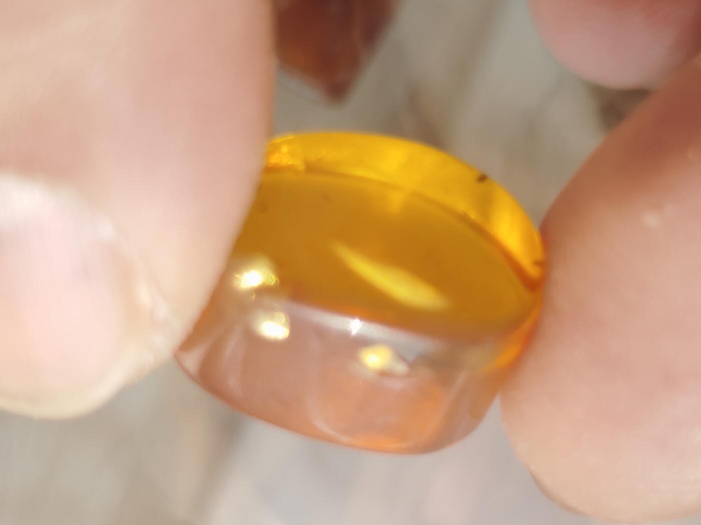 鲨鱼牙专场 天然琥珀，很厚，有点裂