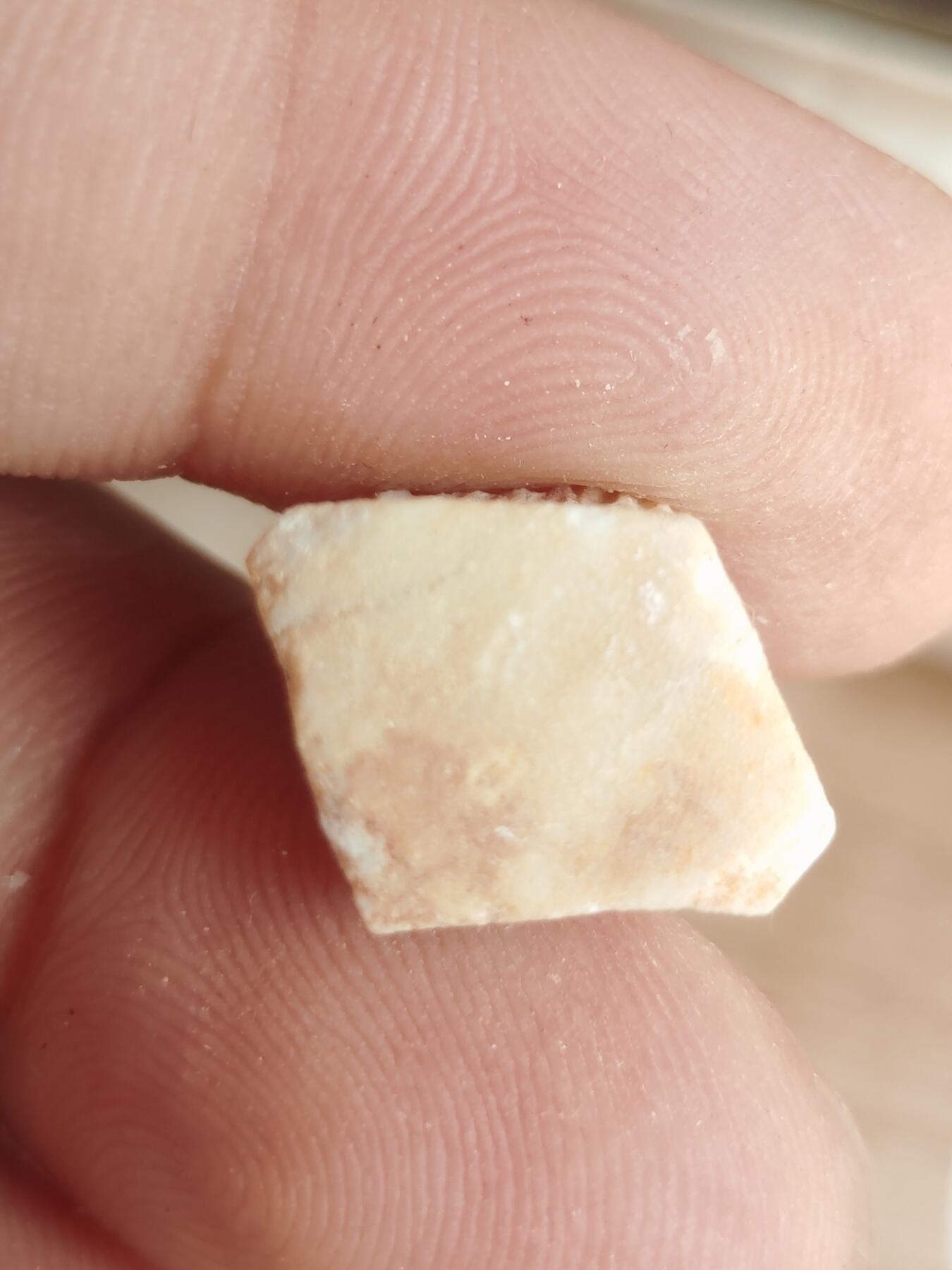 鲨鱼牙专场 另一颗菱形