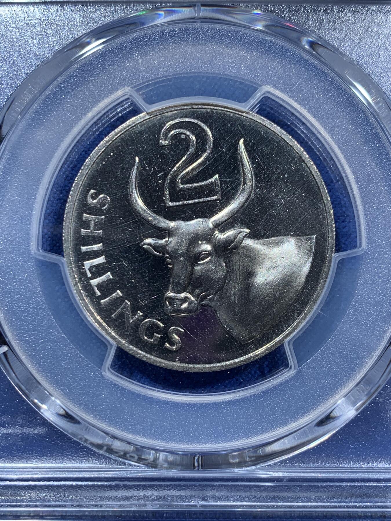 《竞宝斋》第361场 周日，周一  2场连拍 （全场包邮） PCGS PR65 冈比亚1966年2先令精制镍币 水牛图案热门品种 镜面感挺强的