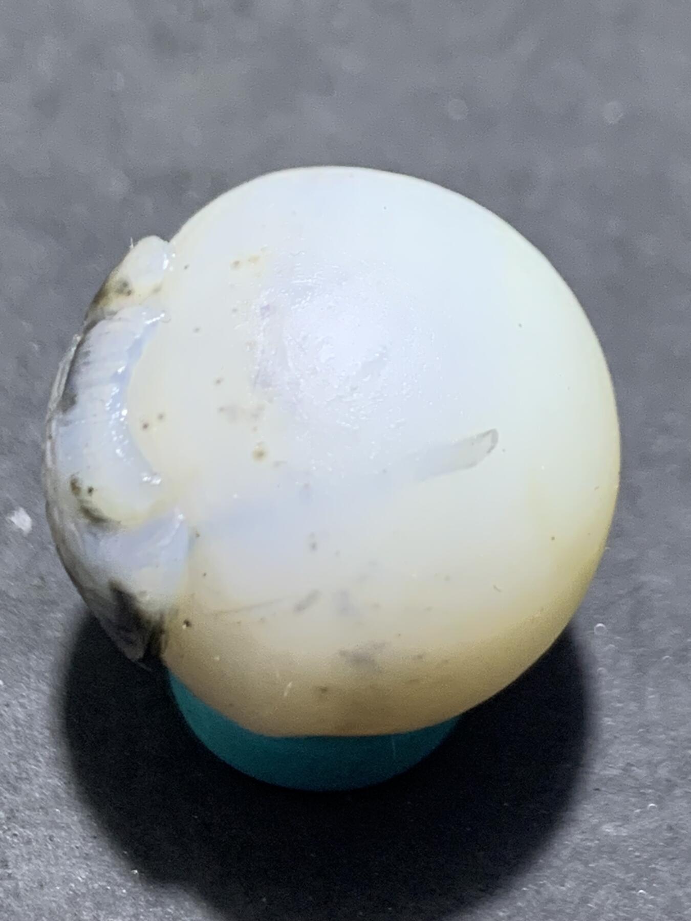 精美高玉化亚光水墨纹海洋玉髓手工俏色巧雕神仙鱼2.0圆珠一个