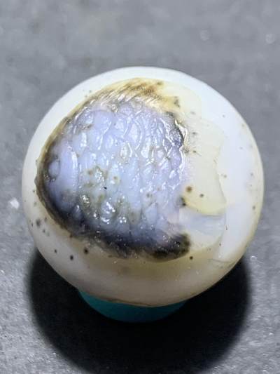 精美高玉化亚光水墨纹海洋玉髓手工俏色巧雕神仙鱼2.0圆珠一个 - 精美高玉化亚光水墨纹海洋玉髓手工俏色巧雕神仙鱼2.0圆珠一个