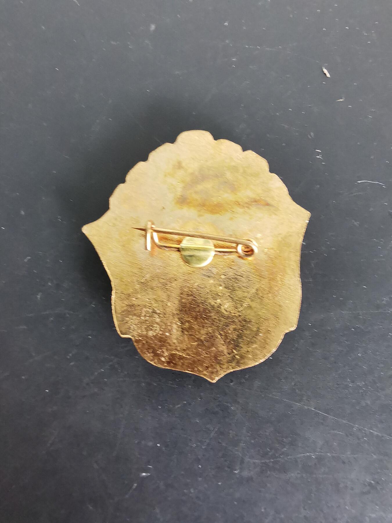 老王徽章第104期