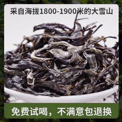 口粮茶专场 - 2025年云南勐库大雪山核心乔木普洱茶生茶散茶口粮茶散装茶叶500g