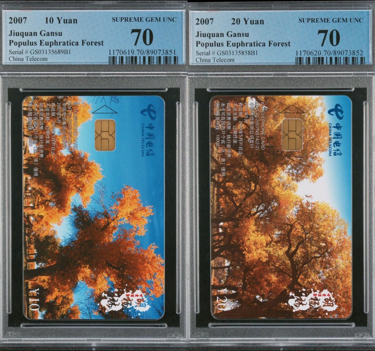 乐玩集藏第66期电话卡综合场（3月11日20:00结拍） IC-2007NS14胡杨林 GS版PCGS70★
