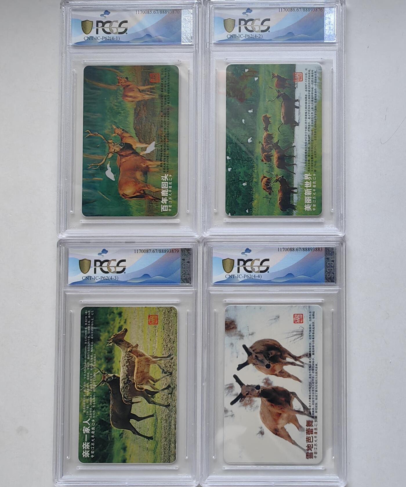 乐玩集藏第66期电话卡综合场（3月11日20:00结拍） IC-P62麋鹿 GD版PCGS67 多数67