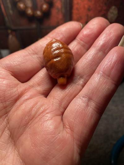 福利苏工核雕纯手工老铁核雕，老苏工作品，猪肘子，蹄膀，10年老籽，等待有缘人，尺寸2。1x3。4喜欢的来 - 福利苏工核雕纯手工老铁核雕，老苏工作品，猪肘子，蹄膀，10年老籽，等待有缘人，尺寸2。1x3。4喜欢的来