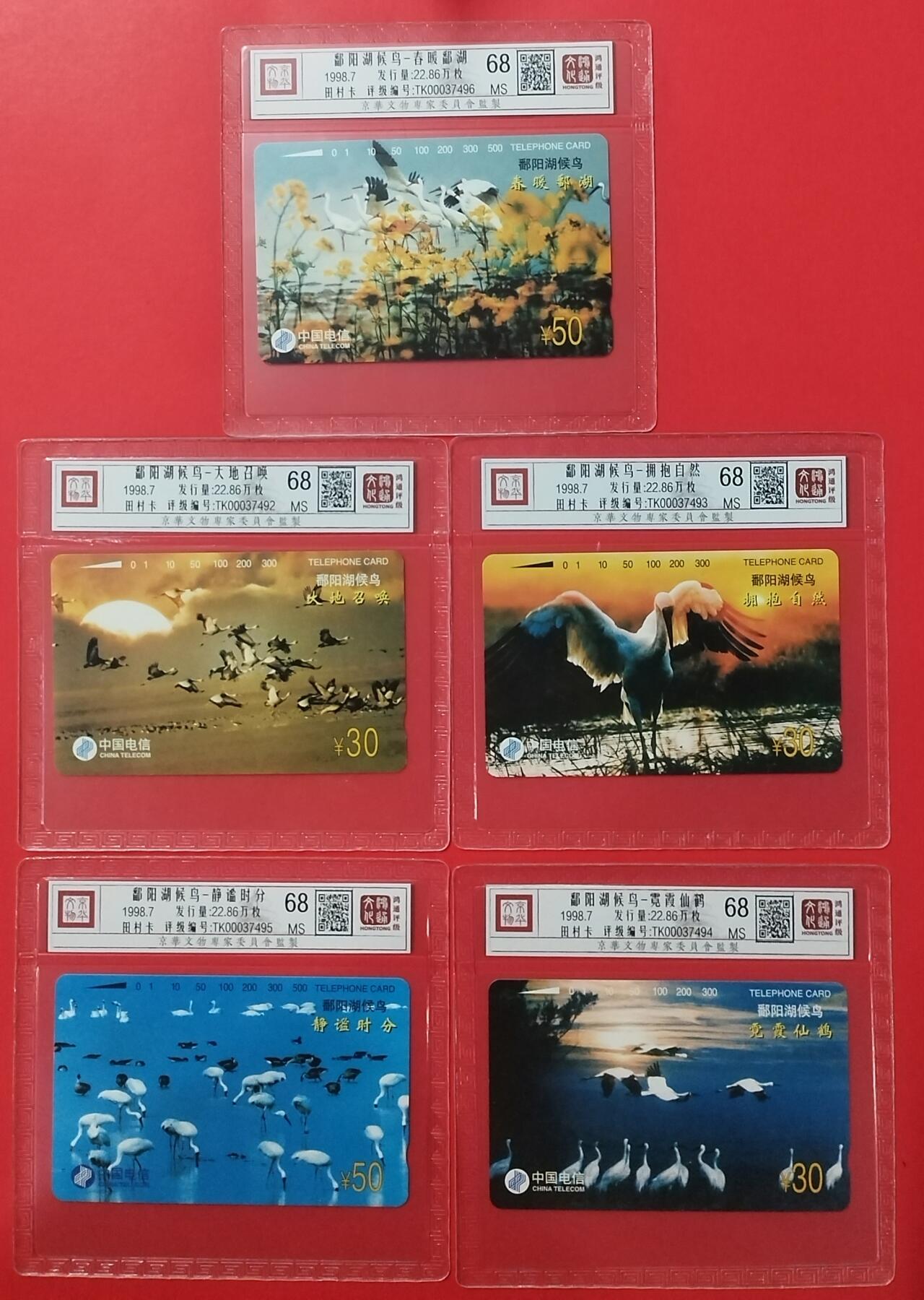 《鸿通俱乐部》拍卖28期 3月12号21:00延期节拍 田村通卡新卡《鄱阳湖候鸟》5全，鸿通68分*5