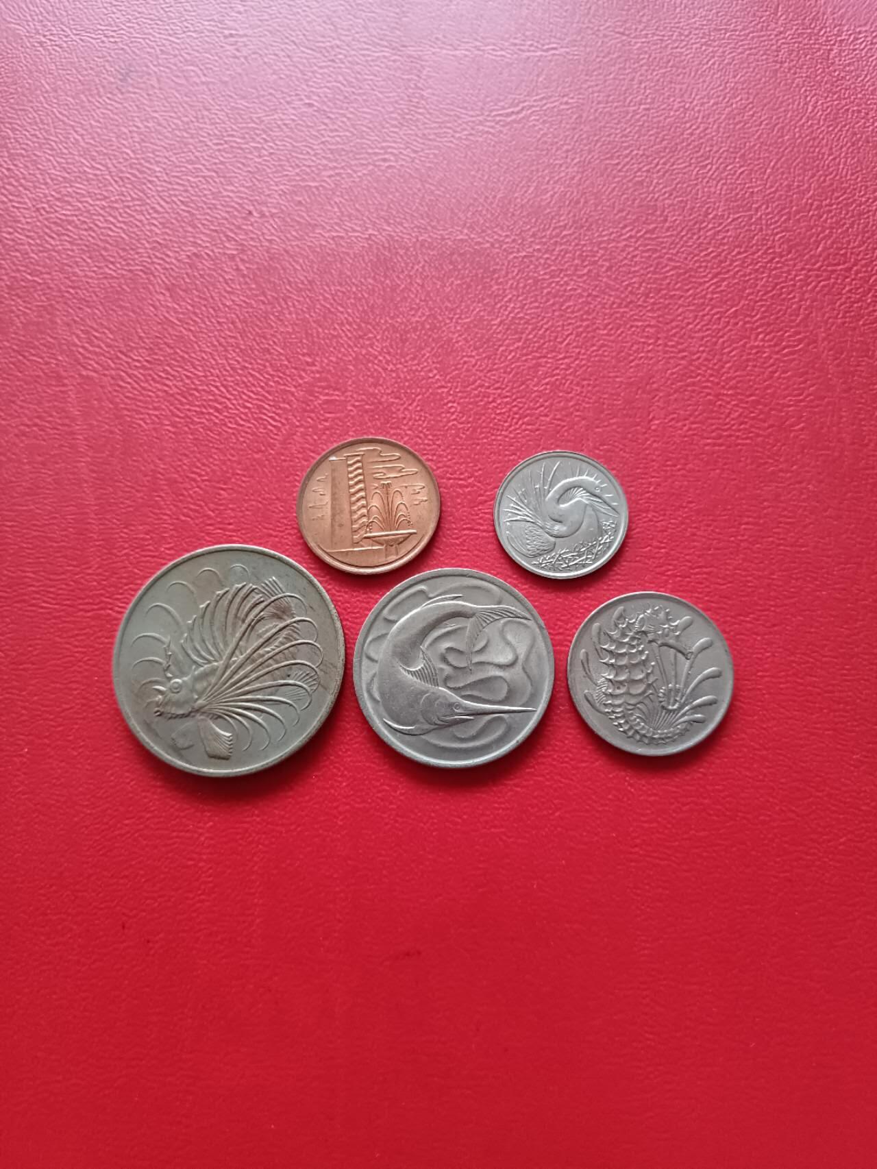 【云涧收藏】第五场