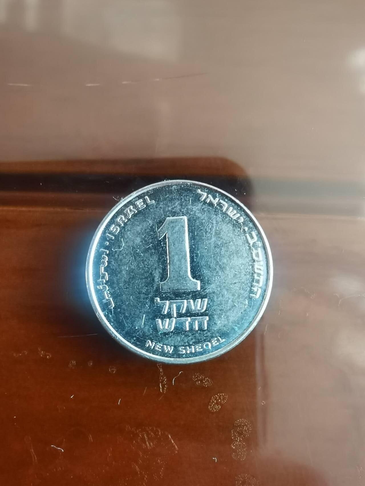 以梦为马4拍 以色列🇮🇱小墩子