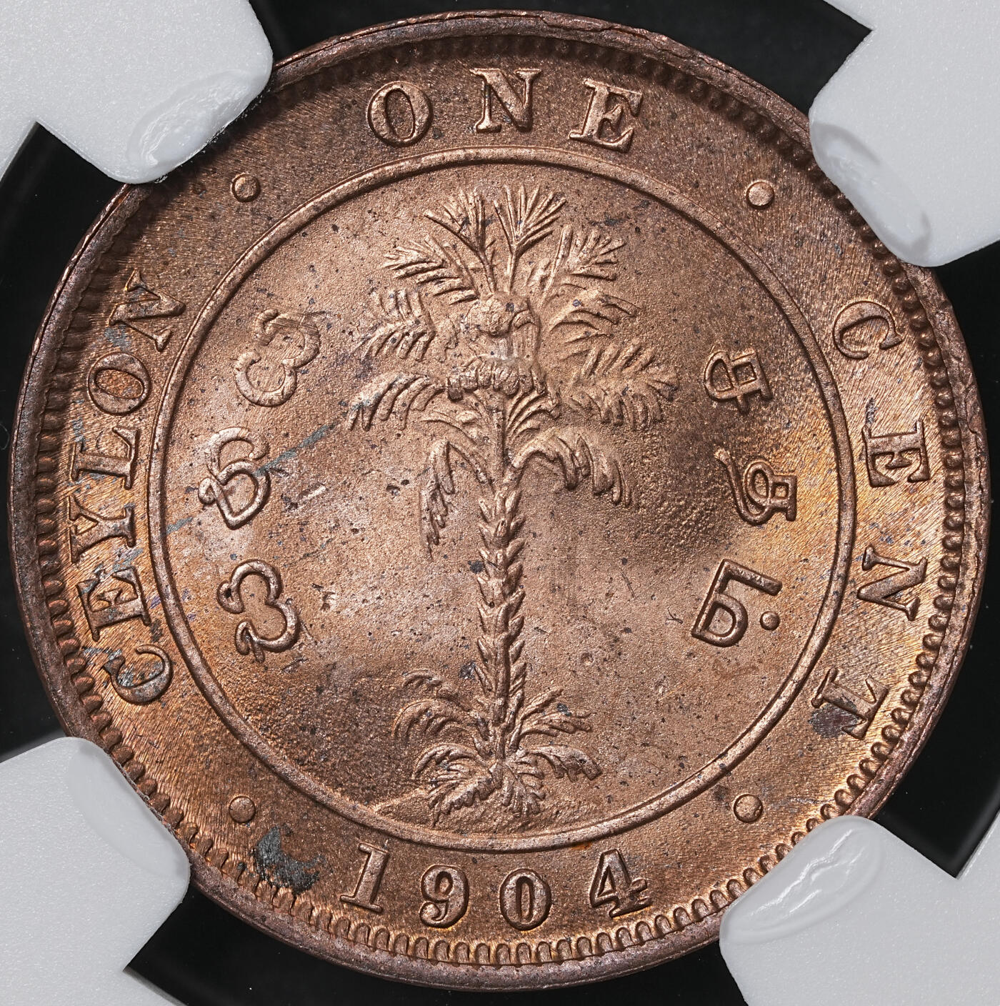 修遠堂世界钱币第六十一期 NGC MS64RB 1904年英属锡兰1分铜币