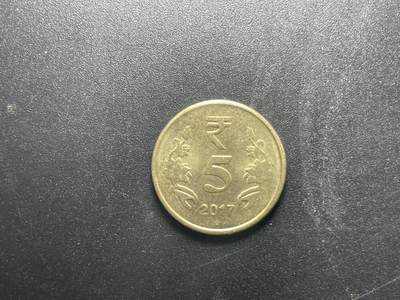 各个国家硬币专场1 印度符号版本5卢布铜币